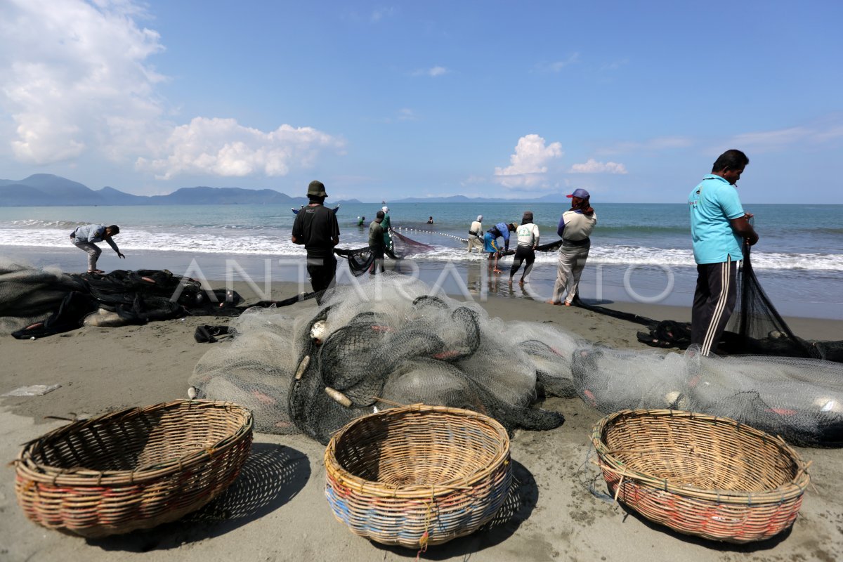 pabrik kopi, biji kopi, rahasia kopi, kopi instan, keunikan kopi